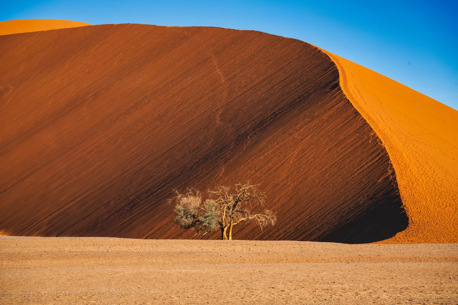 Namibia: vida extrema y diversidad cultural en el suroeste de África