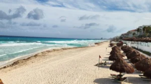 Sargazo en Cancún: baja el recale en septiembre pero alerta por vientos