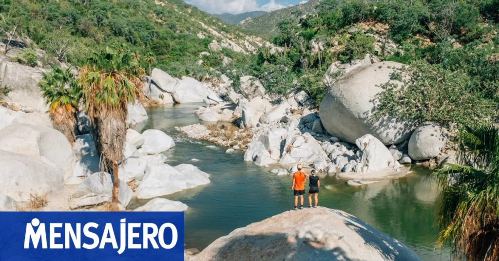 Chilenos viajan más a Los Cabos: destino mexicano refuerza promoción en Sudamérica