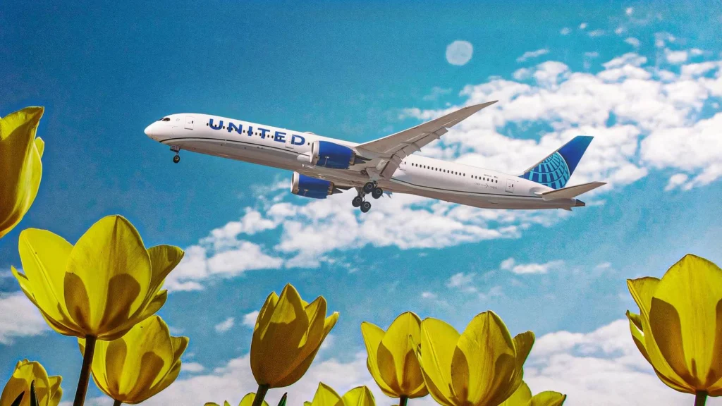 United Airlines amplía su oferta de vuelos hacia África y eso toca al viajero chileno