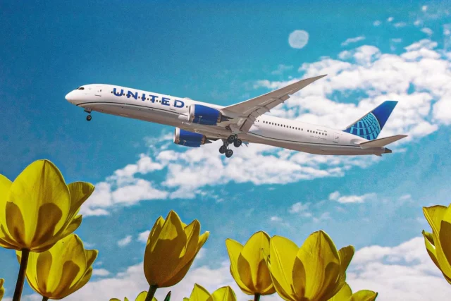 United Airlines amplía su oferta de vuelos hacia África y eso toca al viajero chileno