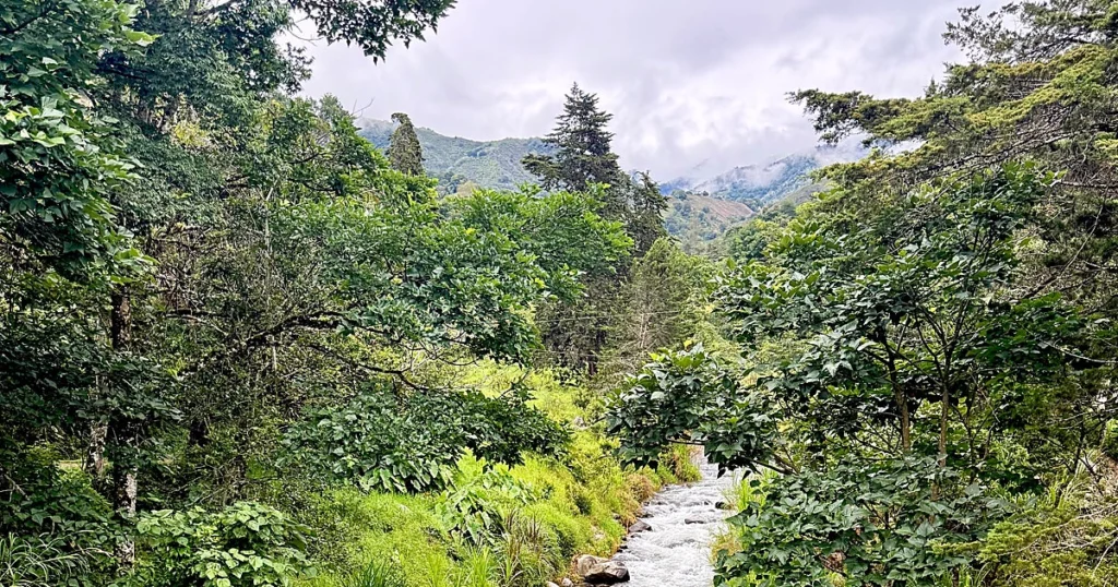 Valle del Chirripó: el paraíso costarricense donde los chilenos también encuentran 'pura vida'