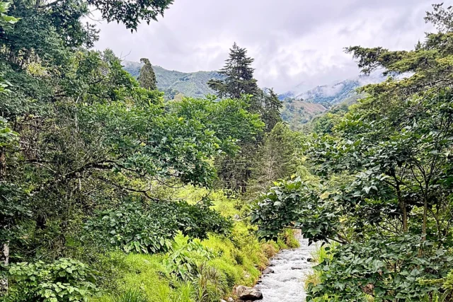 Valle del Chirripó: el paraíso costarricense donde los chilenos también encuentran 'pura vida'