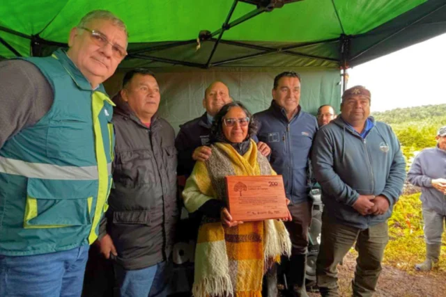 Culmina restauración de 75 hectáreas de bosque nativo en Chiloé