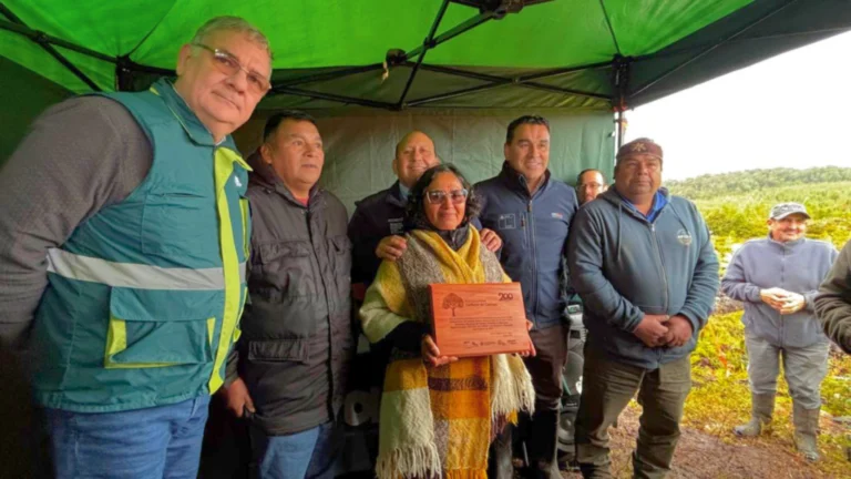 Culmina restauración de 75 hectáreas de bosque nativo en Chiloé