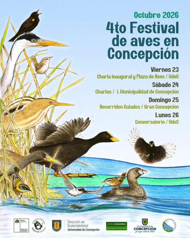 4to Festival de Aves en Concepción