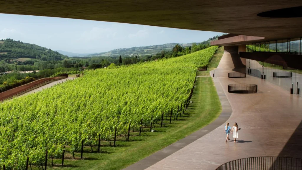 Robo millonario en la Toscana: 30.000 botellas de Antinori sustraídas
