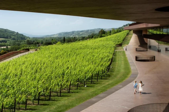 Robo millonario en la Toscana: 30.000 botellas de Antinori sustraídas