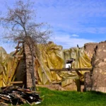 Bodega de la viña San Carlos