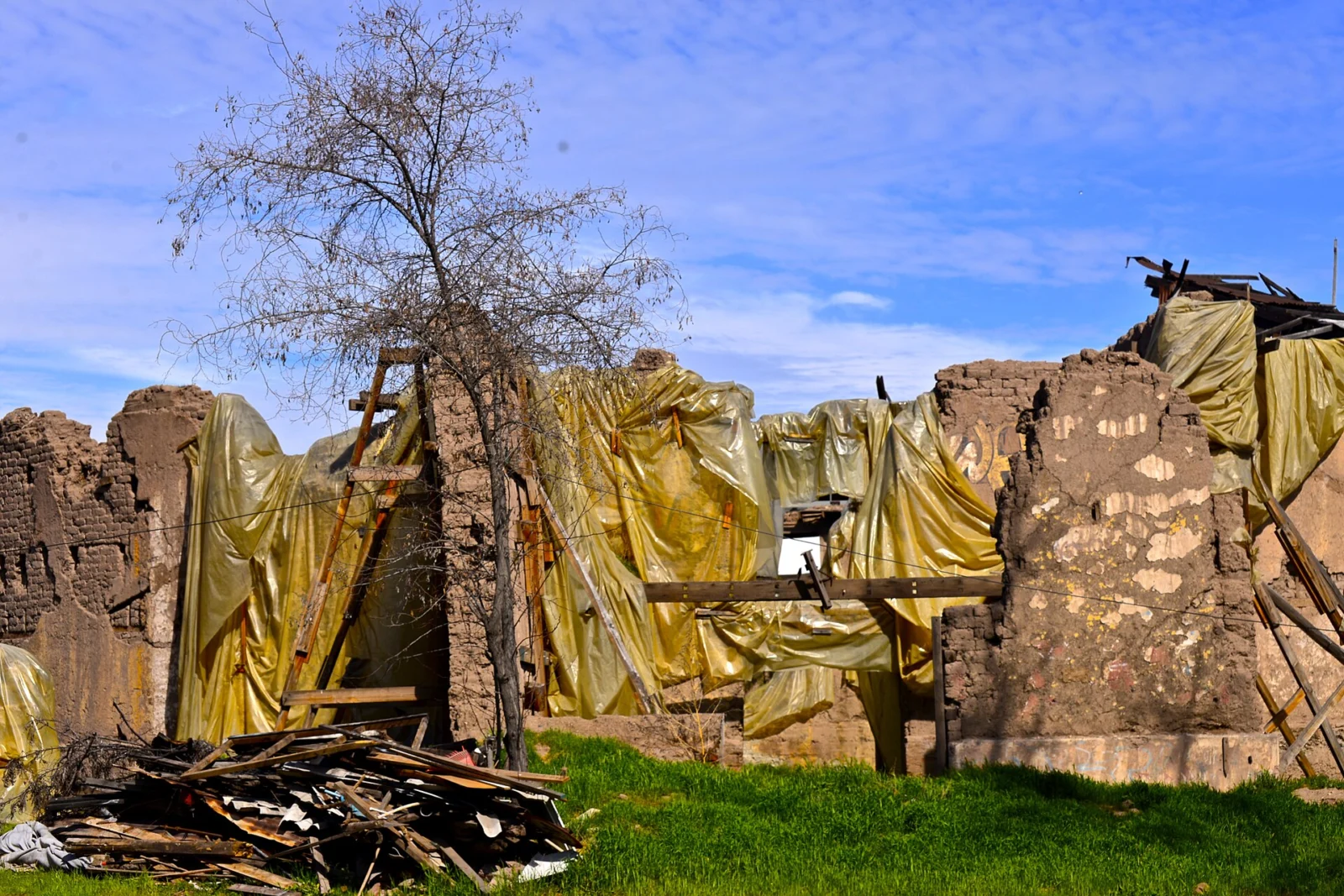 Bodega de la viña San Carlos