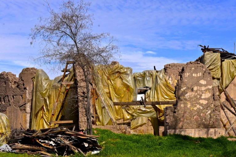 Bodega de la viña San Carlos