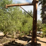 Caballo de agua de la estación El Lingue