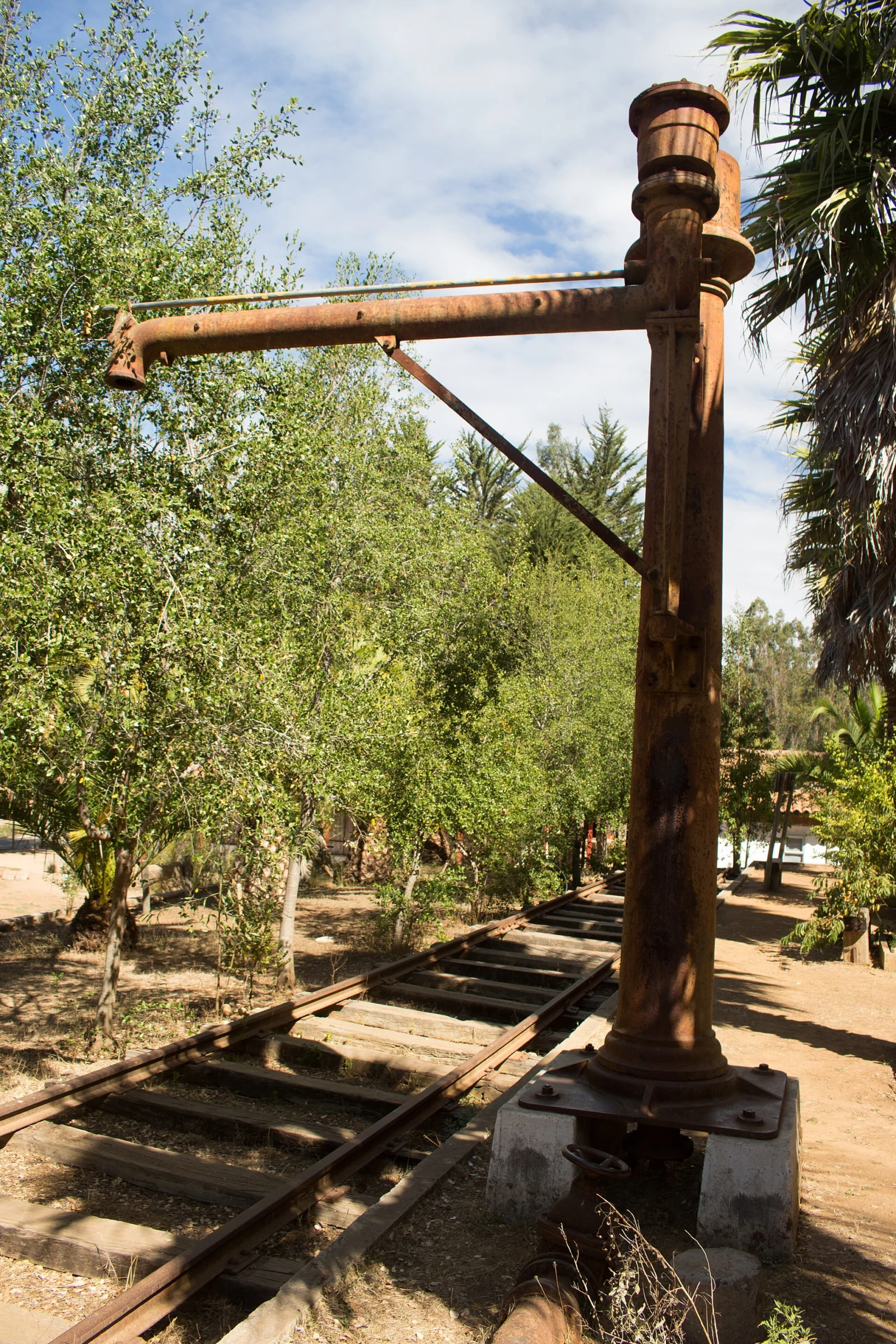 Caballo de agua de la estación El Lingue