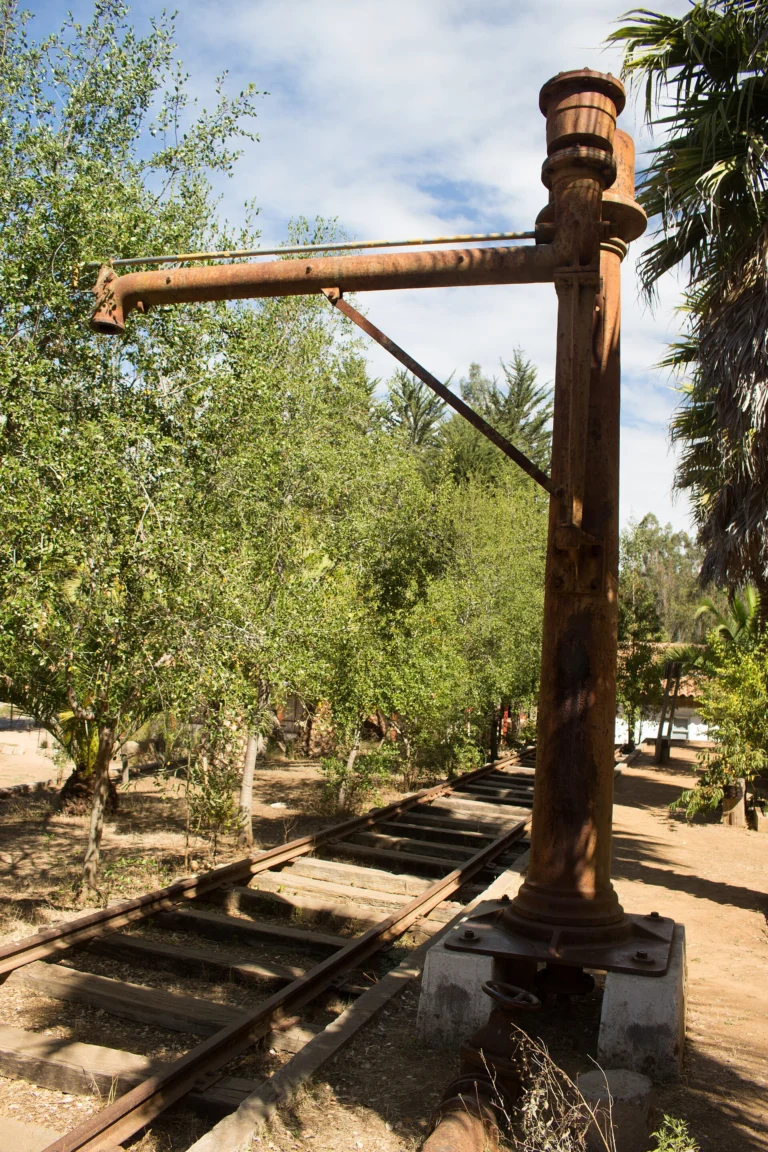 Caballo de agua de la estación El Lingue