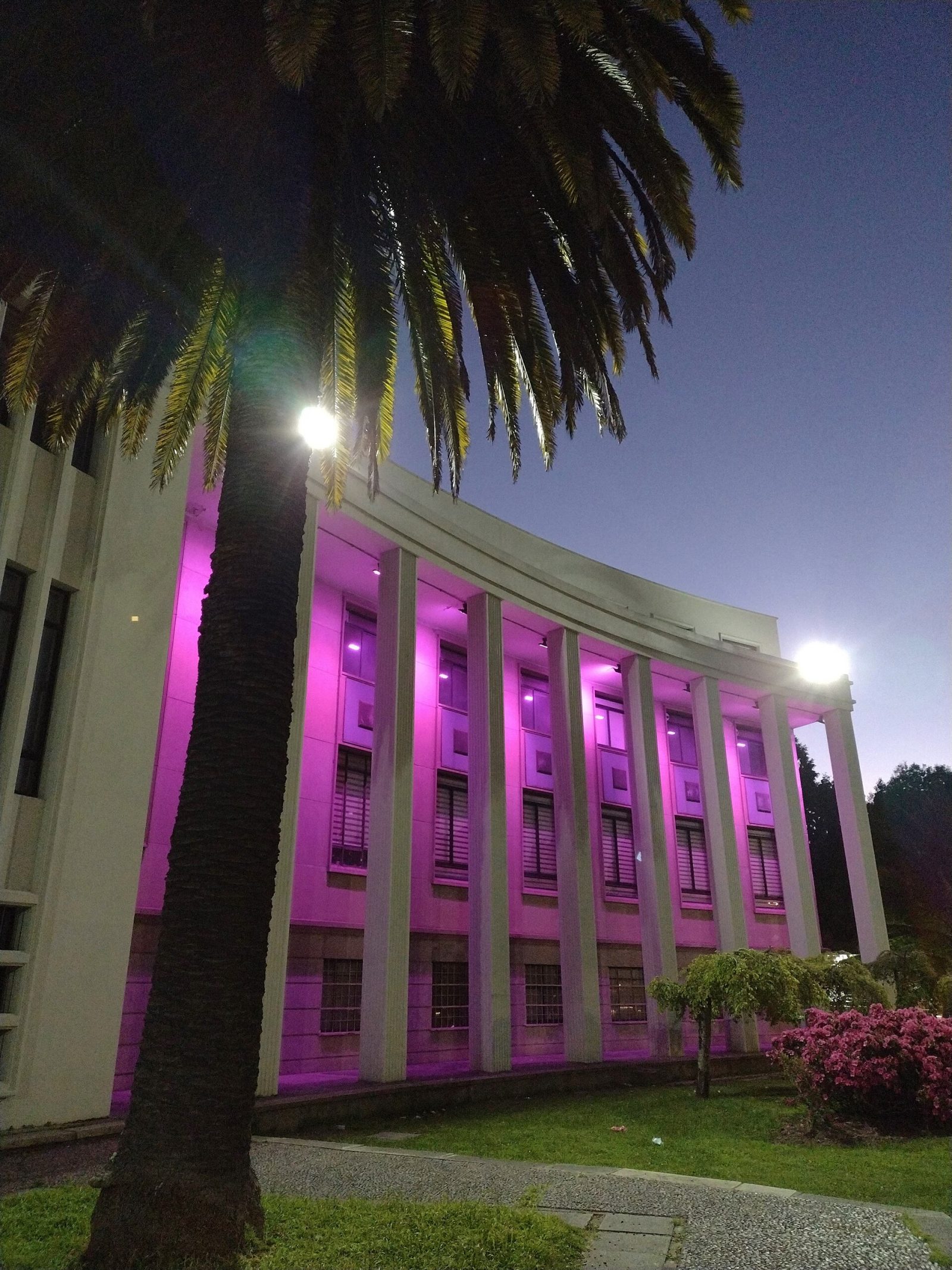 Campus Central de la Universidad de Concepción