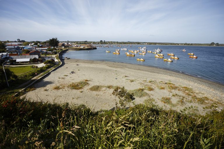 Carelmapu