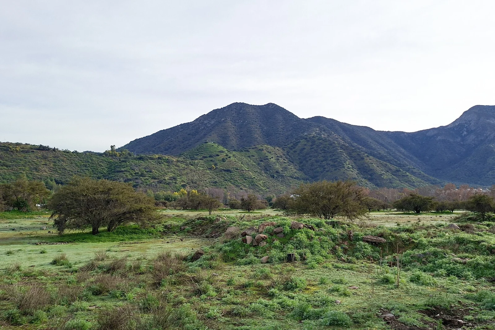 Cerro El Carbón