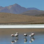 Cerro del Azufre