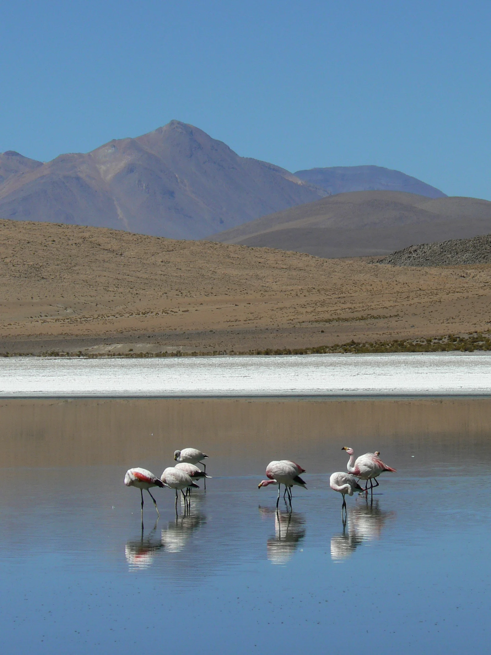 Cerro del Azufre
