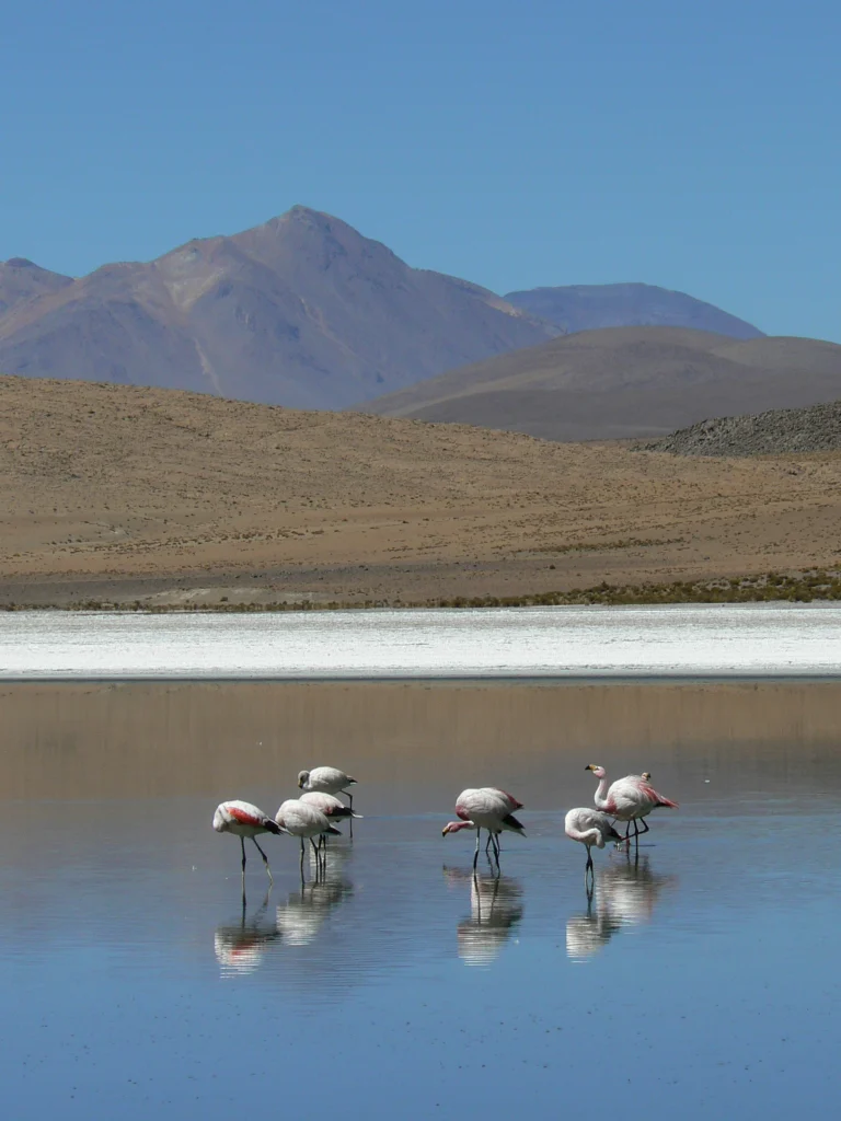 Cerro del Azufre