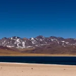 Cordón de Puntas Negras