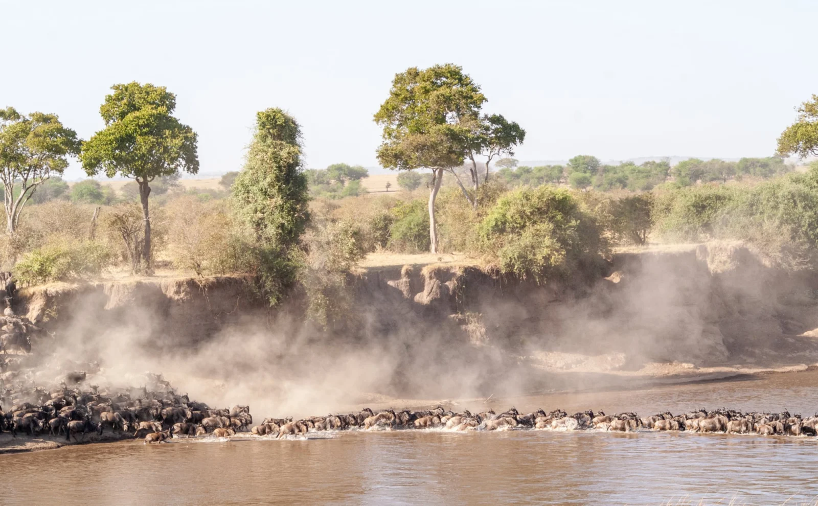 Safari en Tanzania: la gran migración de los ñus y las tribus