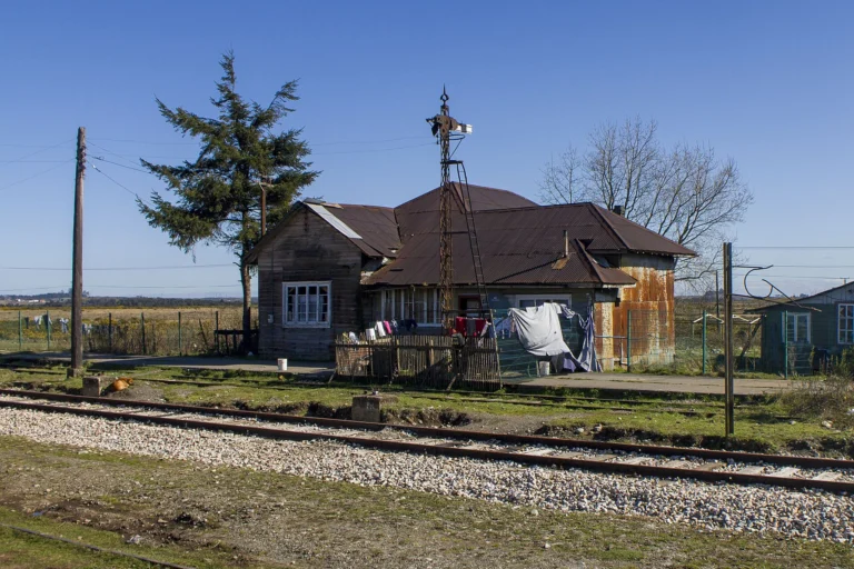 Estación Alerce