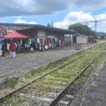 Estación Los Lagos