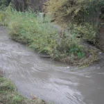 Estero La Cadena