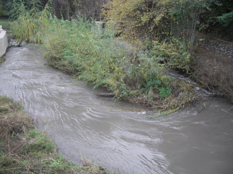 Estero La Cadena