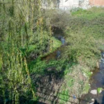 Estero Quilpué