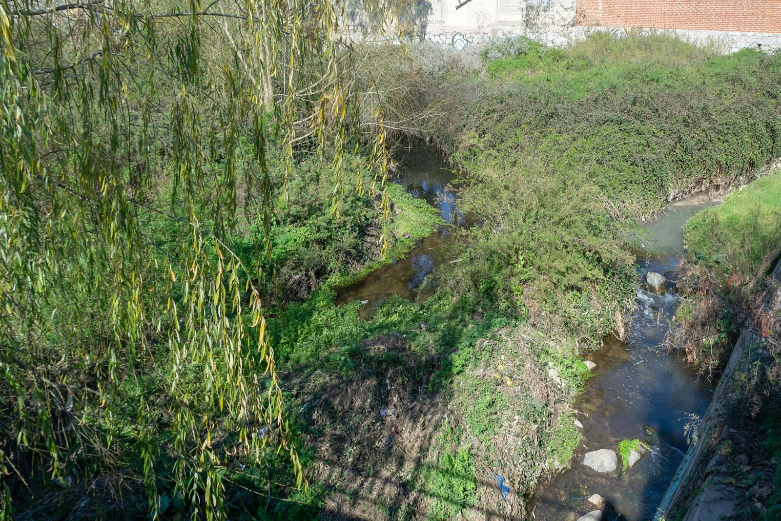 Estero Quilpué