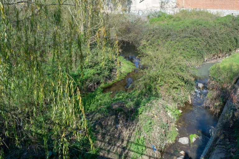 Estero Quilpué