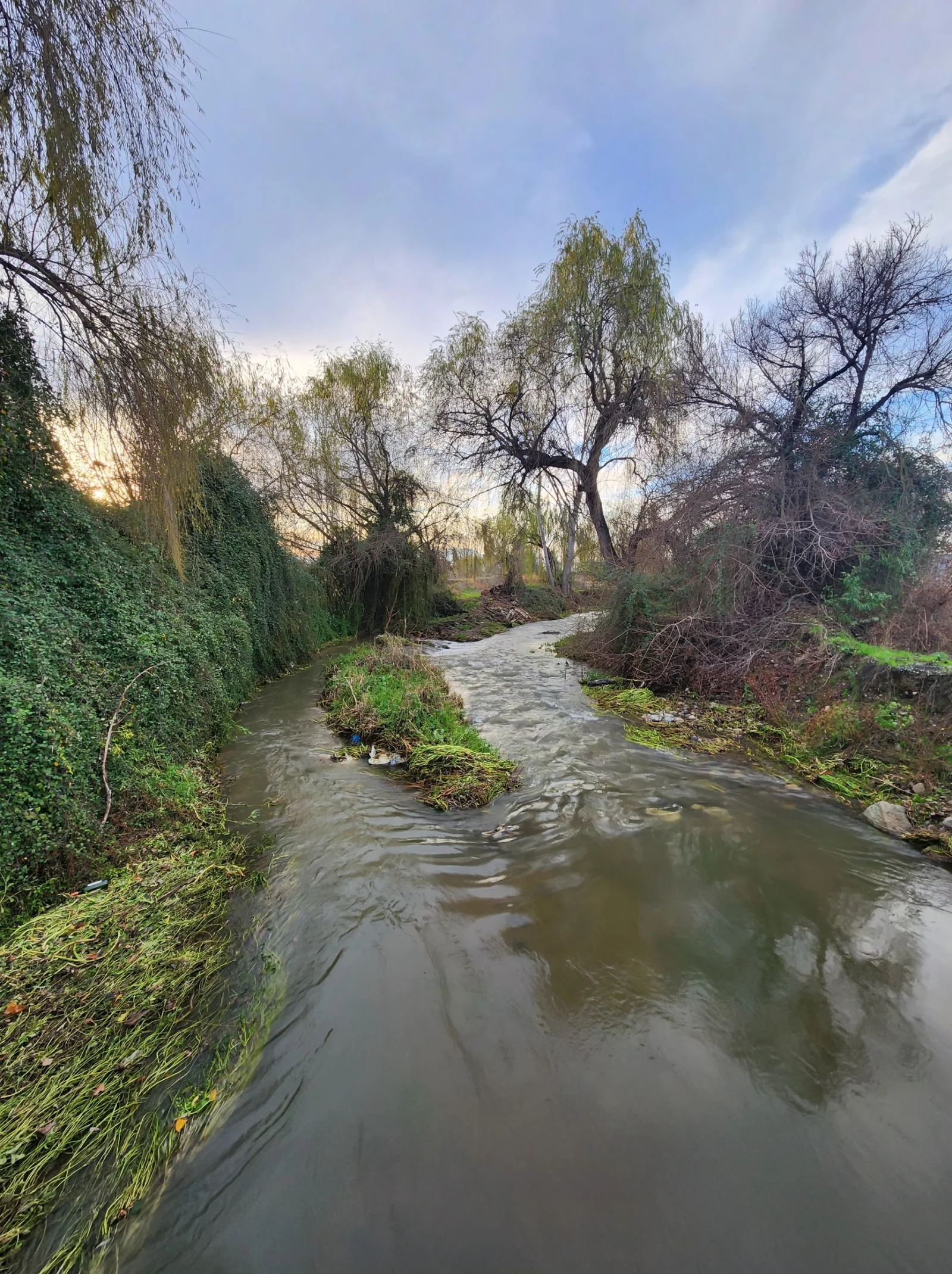 Estero Tipaume