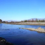 Estero Zamorano