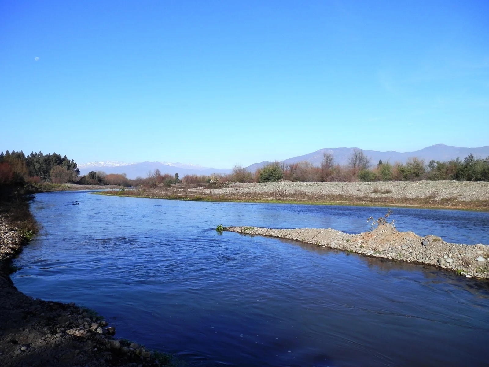 Estero Zamorano