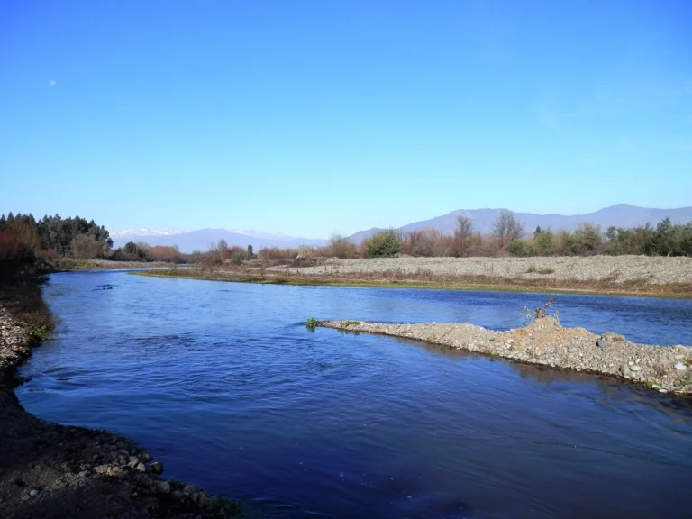 Estero Zamorano