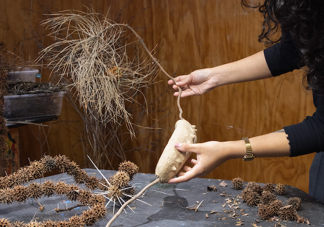 Exposición: Hibridaciones de Francisca Larraín