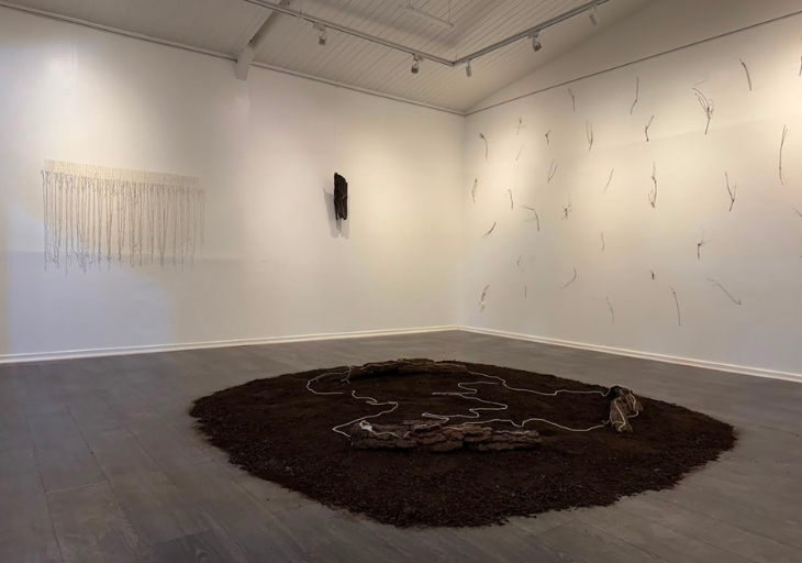 Exposición "Hilvanar El Bosque"