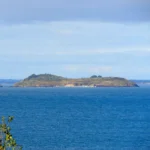 Isla Cochinos