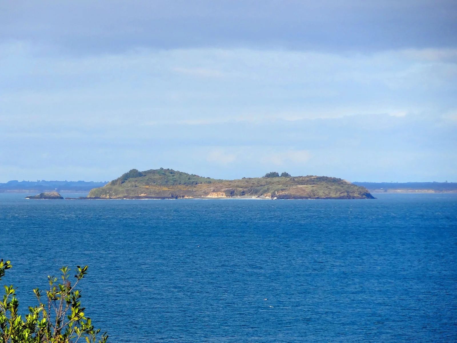 Isla Cochinos