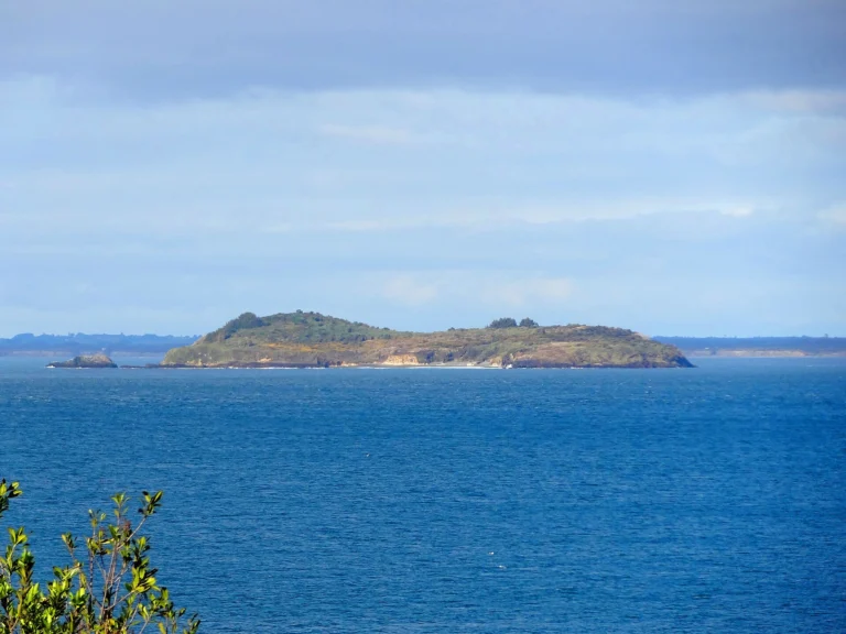 Isla Cochinos