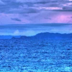 Isla Guafo