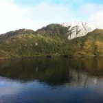 Isla Guarello