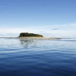Isla Lagartija