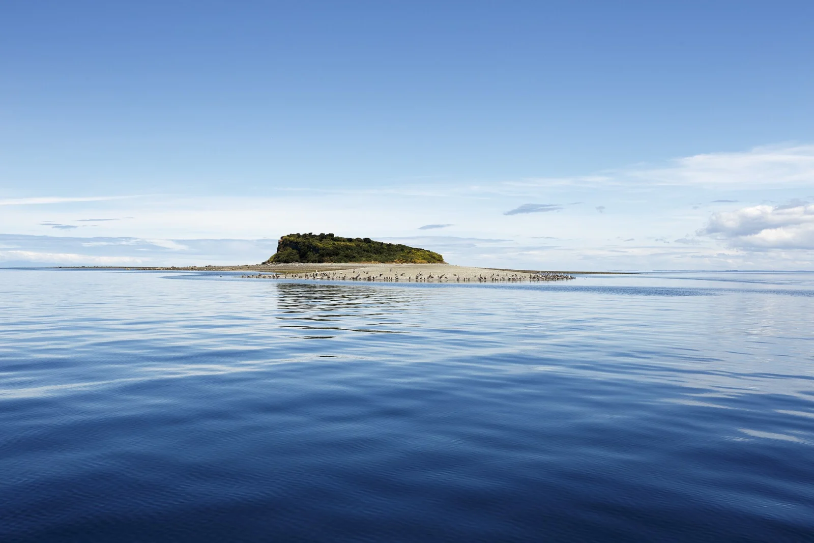 Isla Lagartija