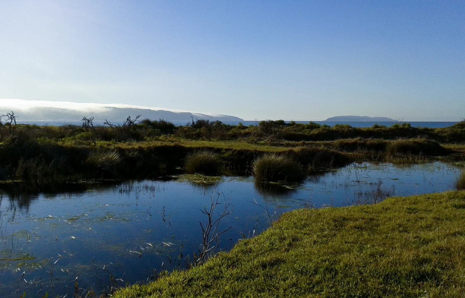 Isla Rocuant