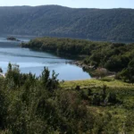Isla San Pedro