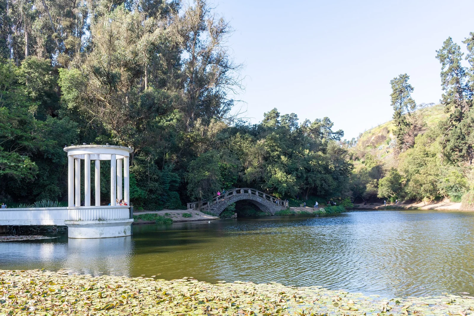 Jardín botánico Nacional de Viña del Mar