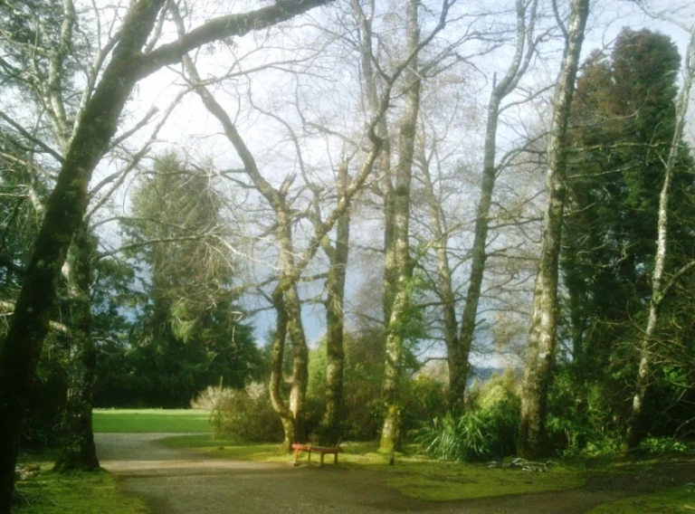 Jardín botánico de la Universidad Austral de Chile